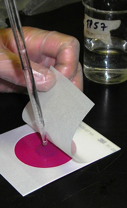 Shelf-life study implementation